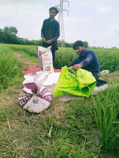 Farmers with SACI Spotium in the field