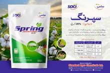 Spring